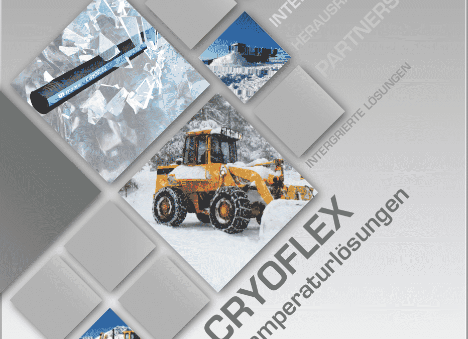 Cryoflex Brochure DEUTSCH cover
